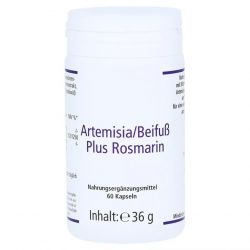 Артемизинин 150 мг капс. 60шт в Пскове и области фото