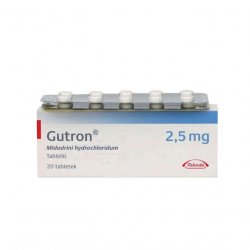 Гутрон таблетки 2,5 мг. №20 в Пскове и области фото